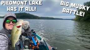 Bass fishing derby at Piedmont Lake, Ohio (Smallmouth , Largemouth, Musky OH MY!)