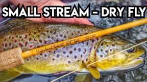 Dry Fly Fishing For Wild Brown Trout In A Small Stream