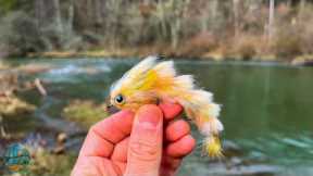 Streamer Fishing for Brown Trout! (Pennsylvania Fly Fishing)