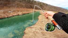 Fly Fishing a TINY Clear Water Creek!