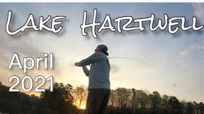 Lake Hartwell Bass Fishing Spring Break 2021