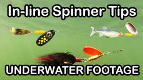 Inline Spinner Fishing Lure Tips and How To Fish Spinners (underwater fishing lures)