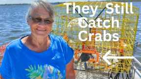 Testing Our BLUE CRAB Traps [ Pots] Catch and Cook