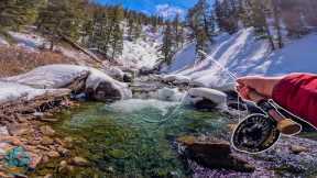 Fly Fishing a Snow Covered Canyon for Trout! (HFA West Returns)