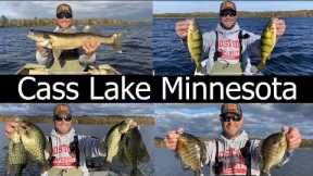 Fishing Cass Lake Minnesota