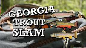 Fly Fishing for the new GEORGIA TROUT SLAM!