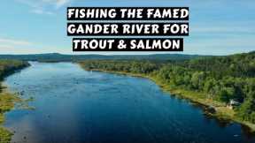 Fishing the Famous Gander River for Trout & Salmon