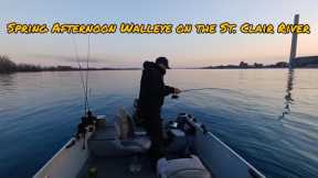 Afternoon Walleye Jigging on the St. Clair River