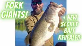Lake Fork Giants! The Best Topwater Ever For Giants Bass, 99% of anglers Don't Know This Exist!
