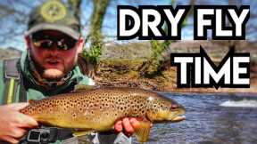 River Usk, Wales - It's Grannom Time! Dry Fly Fishing For Brown Trout