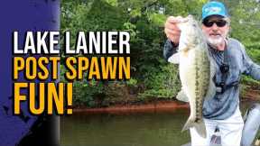 Lake Lanier Post Spawn Fun #lakelanierfishing2023