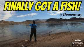 Lake Mead Fishing | Finally Got One