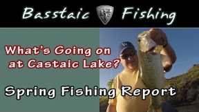 What's Going On at Castaic Lake? (A Spring Bass Fishing Report)