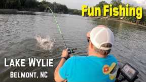 Fun Fishing for Largemouth Bass at Lake Wylie's South Point Access Area - Kayak Fishing