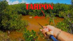 Fly Fishing for Tarpon in the Mangroves