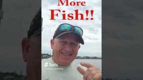 How to catch Saltwater fish!! Tackle, lures, tides, what to look for, where to fish.