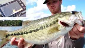 FINDING BIG Summer Bass in Underwater Trees - Lake Lanier Spotted Bass