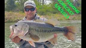Mossy Creek Fly Fishing Forecast 5/8/2023