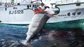 Most Satisfying Longline Fishing Swordfish Skill - Big Catch Tuna Or Marlin Strongest on The Sea