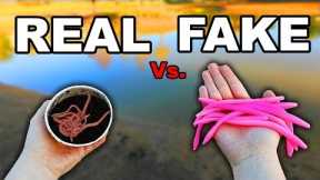 LIVE BAIT vs FAKE LURE Fishing Challenge (Worms)
