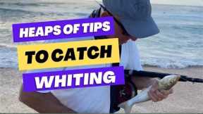 Great TIPS | Beach Whiting Fishing