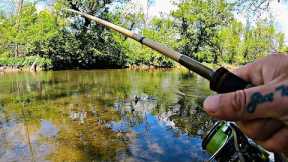 CREEK FISHING SMALLMOUTH BASS!!!(Bank Fishing)