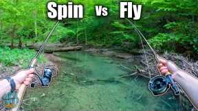 Fly Fishing vs Spin Fishing: Which is better? (Brook Trout Edition)