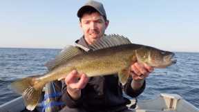 BIG WALLEYES! Walleye Fishing Mille Lacs Lake 2023