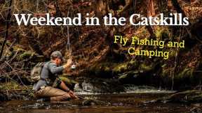 Fly Fishing and Camping in the Western Catskills - Wild Trout