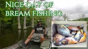 Bream Fishing at Lake Grampus 5-6-23