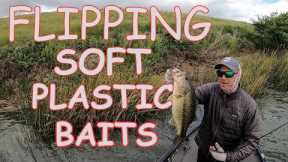 Fishing Soft Plastic Baits.