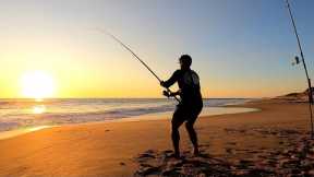 SOLO Beach Fishing: Heart Racing, MASSIVE FISH, CATCH and COOK