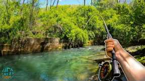 FISHING for 30 Days (Multi-species) || Fly Fishing, Spin Fishing, and Tenkara Fishing