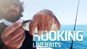 How To Hook Live Bait