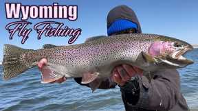 NONSTOP ACTION - Fly Fishing WYOMING for GIANT TROUT