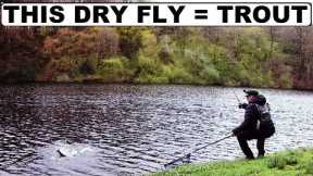 164. Simple Dry Fly Fishing for Trout - Fly Fishing UK