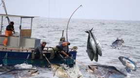 Most Satisfying Longline Fishing Swordfish Skill - Big Catch Tuna Or Marlin Strongest on The Sea #02