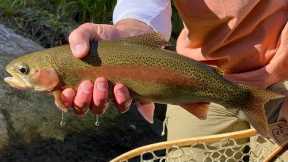 Fly Fishing and Overcoming the Murky Spring Runoff (Colorado River, Parshall)