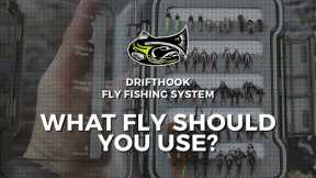 What Fly Should You Use