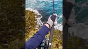Giant Fish Nearly Pulls in Angler #shorts