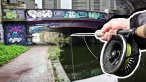FLY FISHING for PIKE In THE CITY
