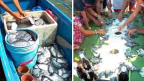 Amazing! Catch a Lot of Fish | Catch, Sell and Cook | Primitive Fishing in Philippines