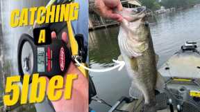 Catching a 5lber | Lake Conroe Bass Fishing | April 2022