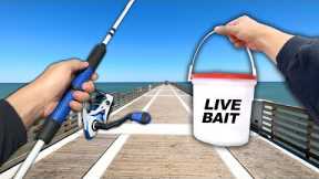 Eating Whatever I Catch! Fishing a NEW PIER (Catch and Cook)