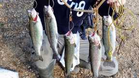 Fishing Levittown Lake