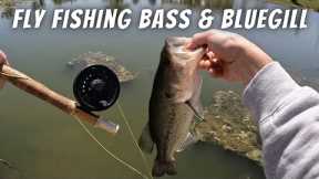 Fly Fishing For Bluegill and Bass On Spawning Beds (How To Catch Panfish/Bass With A Fly Rod)