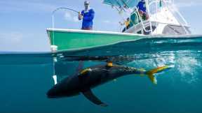 BATTLING Deep Sea GIANTS… Catch Clean Cook (Tropic Star lodge)
