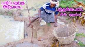 Pathakattai Fish Catching | Cooking | Fishing in Village using traditional fish catching technology