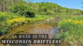 Fly Fishing for Gorgeous Wild Browns of the Wisconsin Driftless - A week of Camping and Fishing.