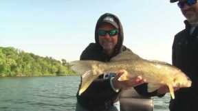 June Walleye Fishing report for Leech Lake Minnesota